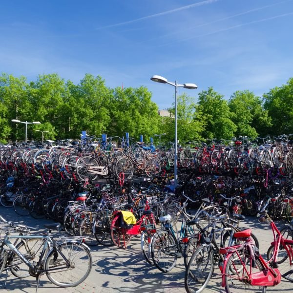 How the Netherlands Built a Biking Utopia