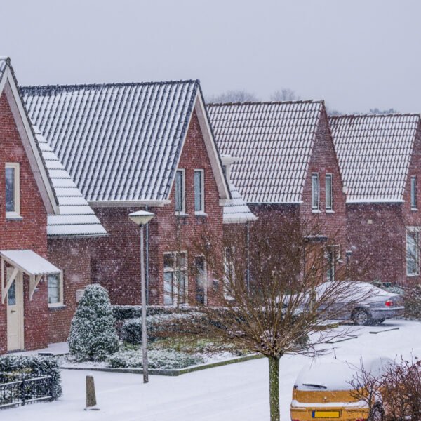 Surviving the Dutch Holidays: Language