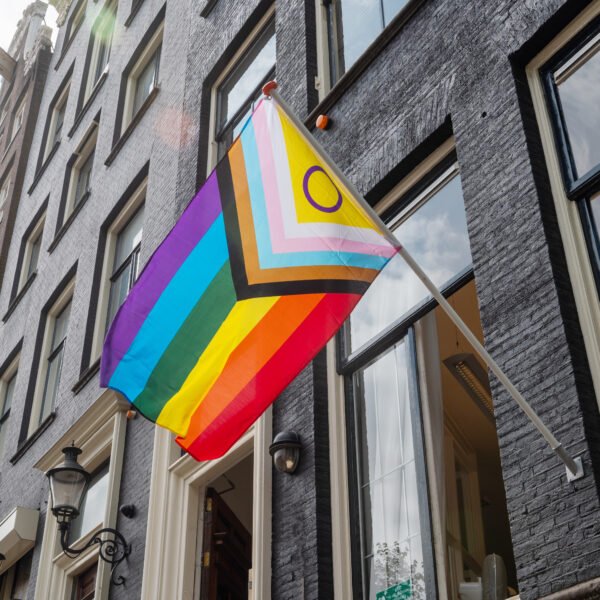 LGBTQ+ History in the Netherlands: From Criminalization to Global First