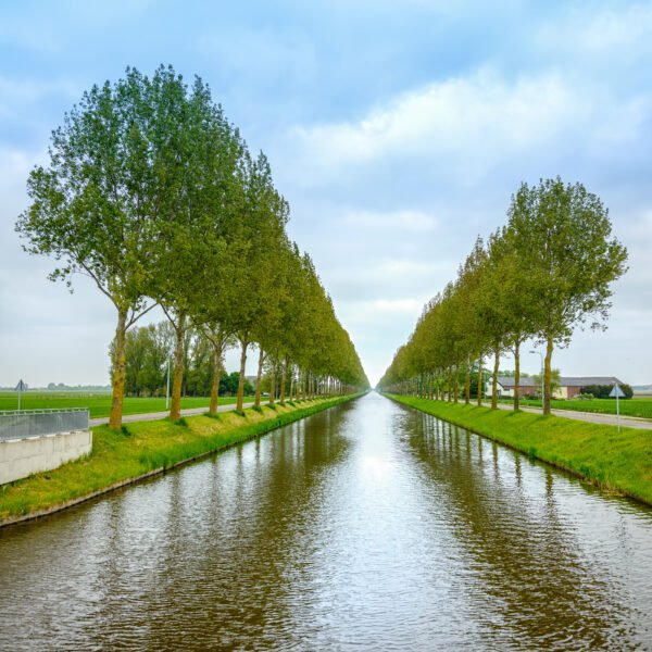 The Dutch “Water Boards”: Democracy Older Than Parliament