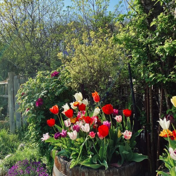 Tuinparken in the Netherlands: The Secret Little…