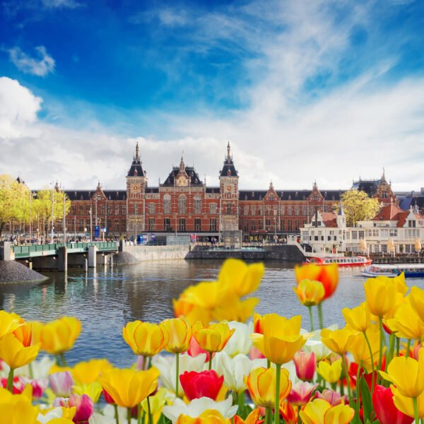 Fifty Things First-Time Visitors Should Know Before Coming to the Netherlands