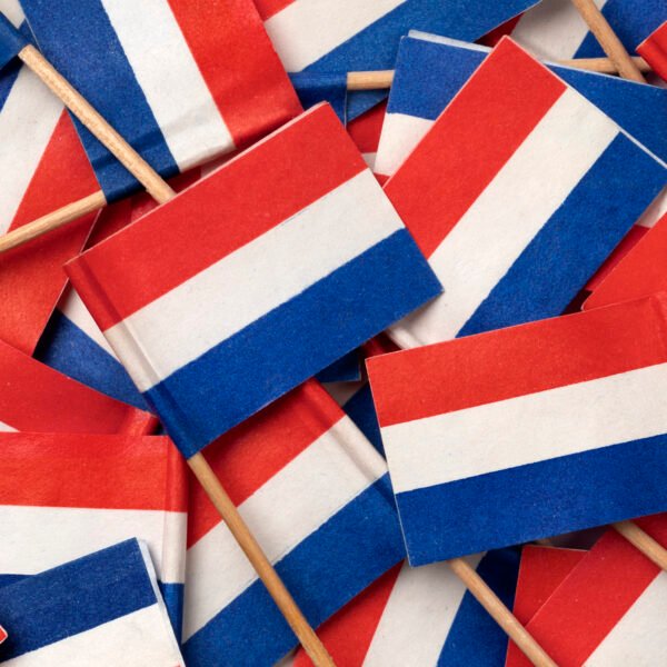 BSN, DigiD, BRP, and Other Dutch Letters&hellip;