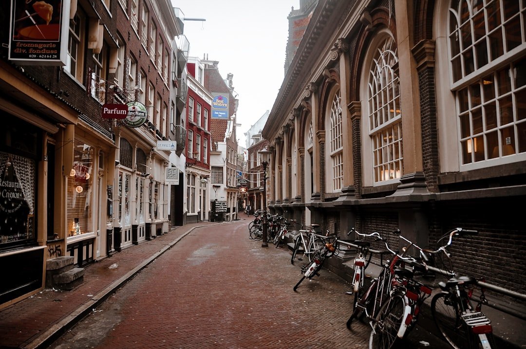 Photo Netherlands bikes