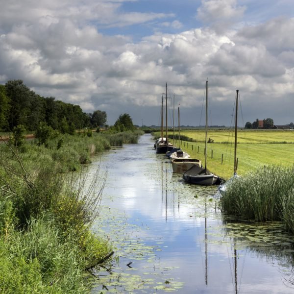 Dutch Small Talk: “Lekker Weertje, Hé?” (Nice Weather, Huh?) Even When It’s Not