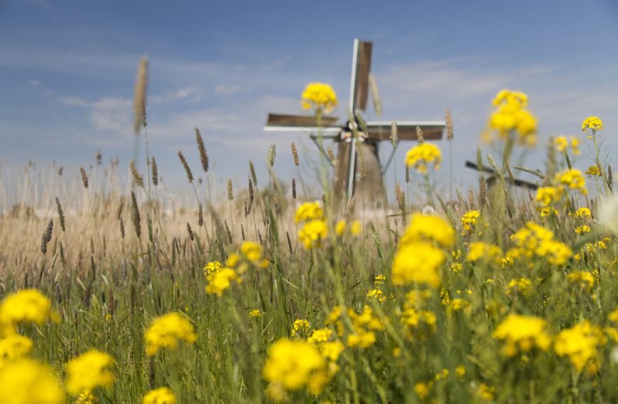 What do the Dutch do when it’s +30C/+90F?