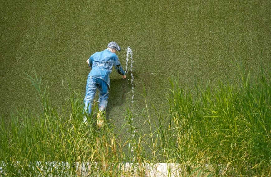 The Legend of the “Hans Brinker” Boy Who Plugged the Dike