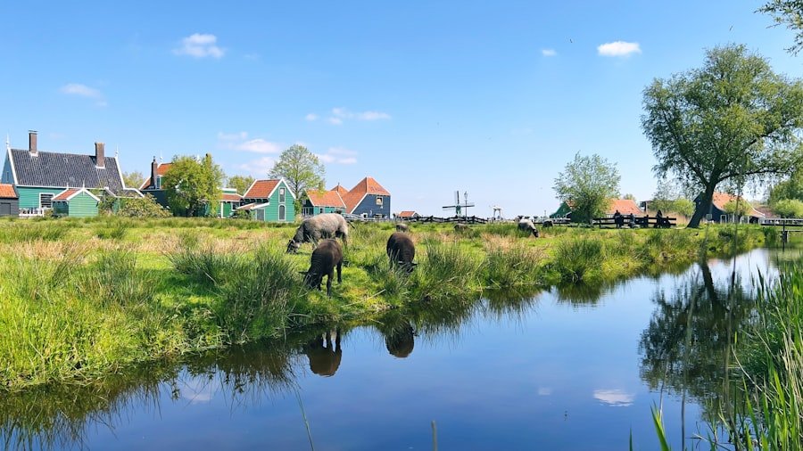 Zaanse Schans