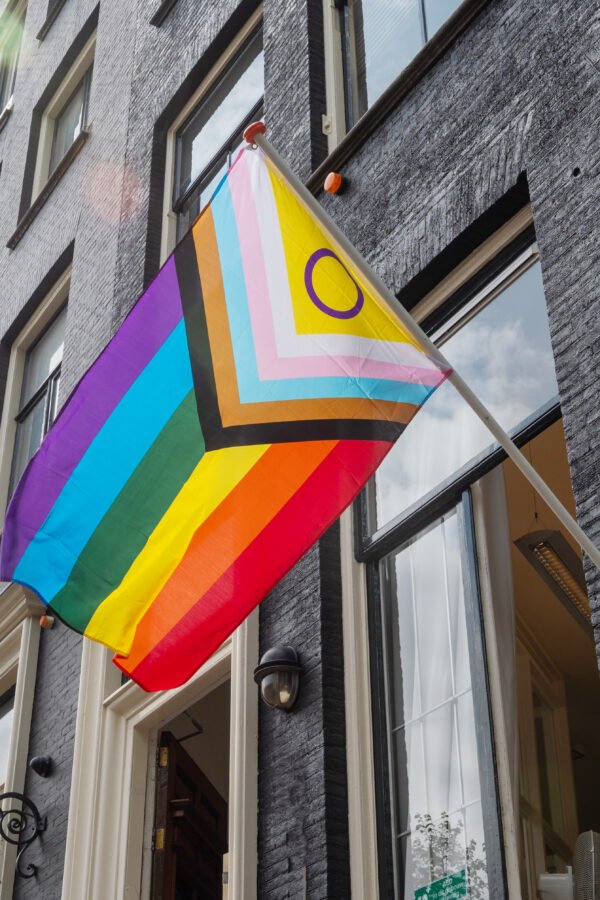 LGBTQ+ History in the Netherlands: From Criminalization to Global First