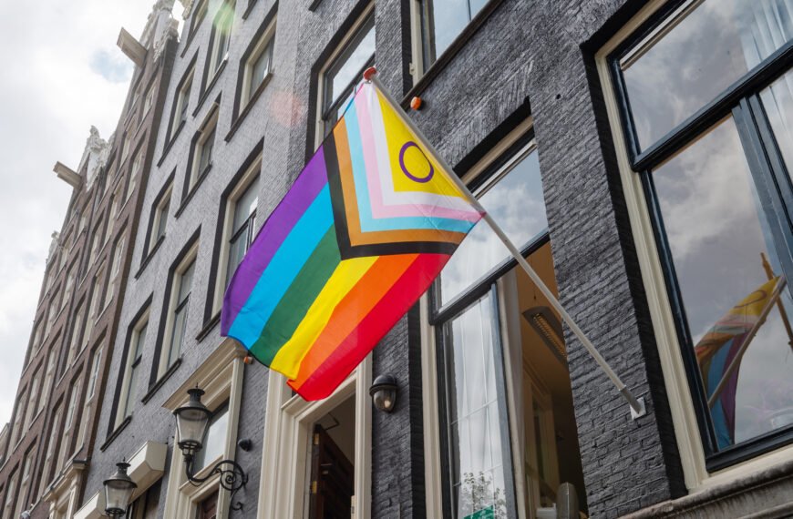 LGBTQ+ History in the Netherlands: From Criminalization to Global First