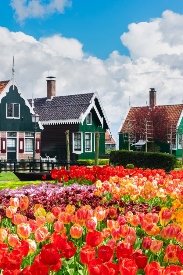 It’s Time: Where to Catch the best flowers in the netherlands