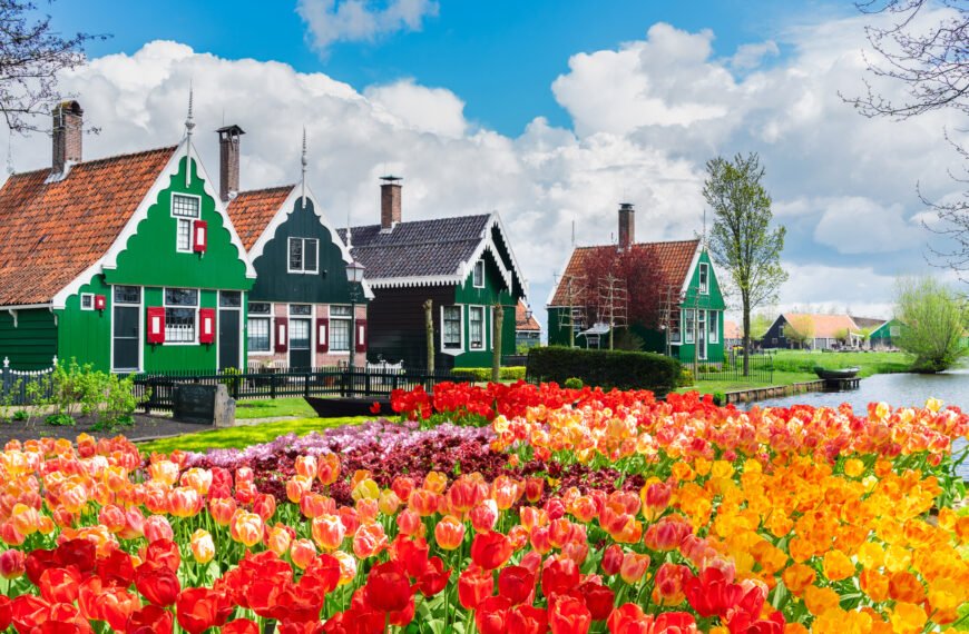 It’s Time: Where to Catch the best flowers in the netherlands