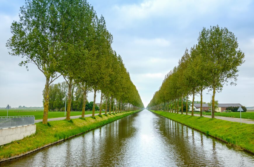 The Dutch “Water Boards”: Democracy Older Than Parliament