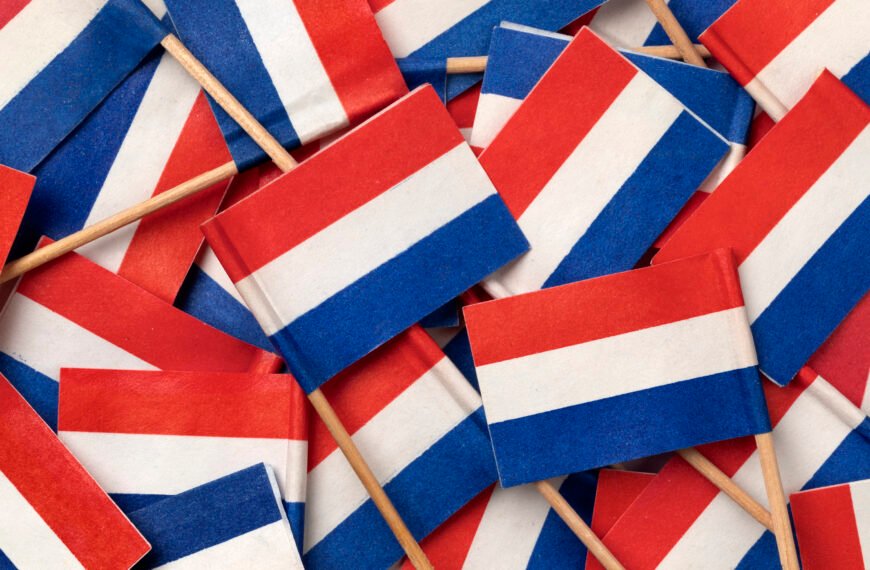 BSN, DigiD, BRP, and Other Dutch Letters You Need to Know (and Service Phone Numbers Once You Know What They Mean)